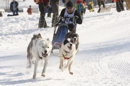 Lenk 2012 SM